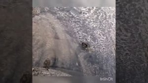 Снятие переднего бампера, Пежо партнёр. Гаражные будни.