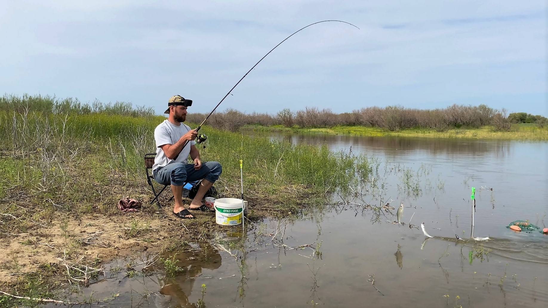ВОБЛА И ГУСТЕРА НА ГРАНИЦЕ С КАЗАХСТАНОМ. ЛОВЛЮ НА ПРОСТУЮ ДОНКУ В СВОЁ УДОВОЛЬСТВИЕ. смотреть онлайн