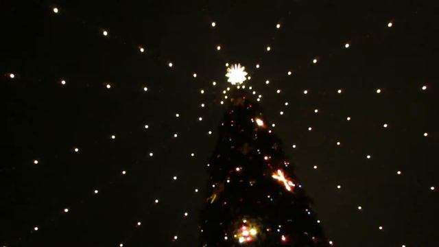 Волшебный лес смотреть онлайн