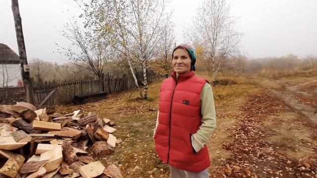 ВСЕМ КОМУ ОБЕЩАЛИ, ПРИВЕЗЛИ ДРОВА! смотреть онлайн