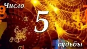 ЧИСЛО СУДЬБЫ «5» /  ДМИТРИЙ ШИМКО