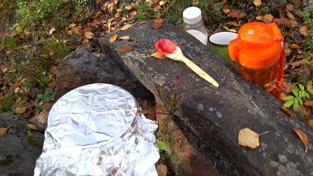 OUTDOOR COOKING: BLUEBERRY JAM | GIRL IN THE FOREST смотреть онлайн