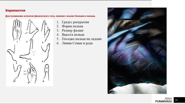 Разъяснения по теме "Физическое тело" смотреть онлайн