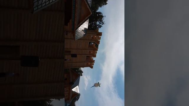 г. Казань, сабантуй в посёлке Мирный 2021 год смотреть онлайн