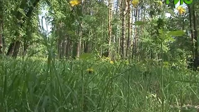 Жители поселка Прибрежный смогут оформить дачные участки смотреть онлайн