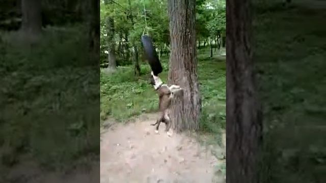 Стафф смотреть онлайн