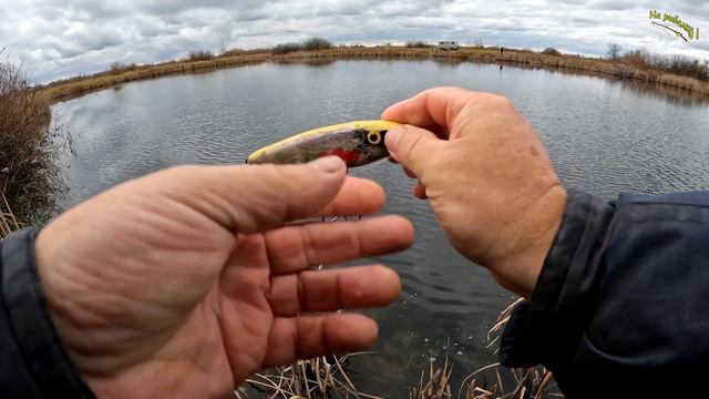 ..Я размера на боюсь..О размерах щуки и джерка. Рыбалка на джерки#каналнарыбалку#джеркбейт смотреть онлайн