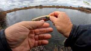 ..Я размера на боюсь..О размерах щуки и джерка. Рыбалка на джерки#каналнарыбалку#джеркбейт