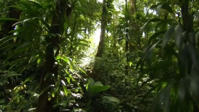 Что тебе подарить, кроме верной любви? Караченцев Николай смотреть онлайн