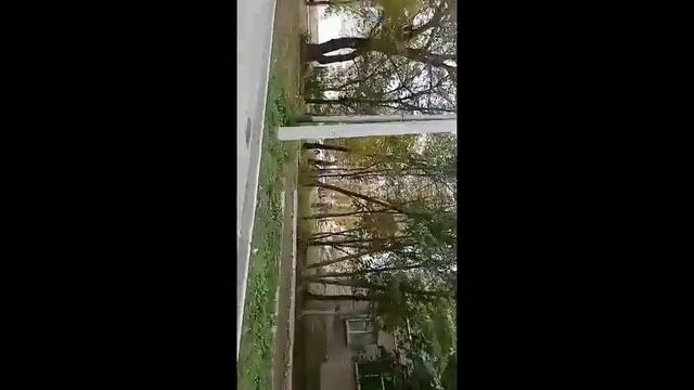 сегодня я с кубиком забрала заказ С ВБ)@Super Kubik смотреть онлайн