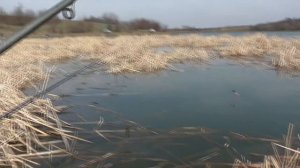 Рыбалка. Ловля карася на поплавок весной [в марте ]. My fishing