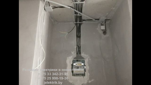 Разводка электрики в новостройке Минска смотреть онлайн