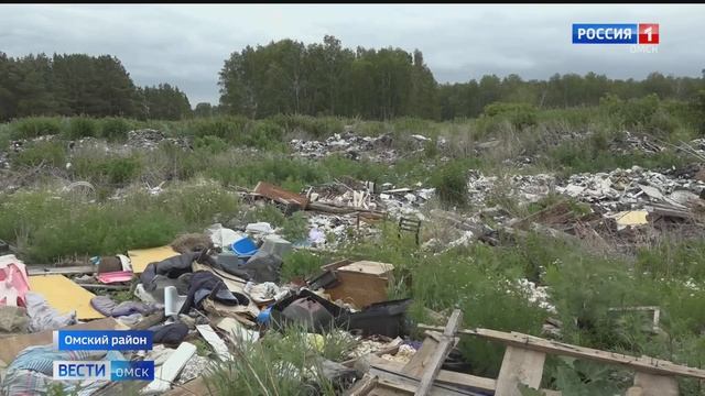 В хвойном лесу Омской области нашли большую свалку с бытовыми отходами смотреть онлайн