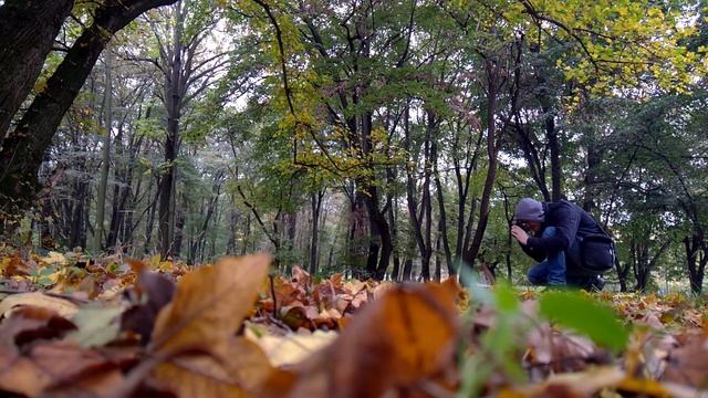 Kodak Gold 200 + Zenit TTL - Autumn Photo Walk | Film Photography | Lumia 950 video смотреть онлайн