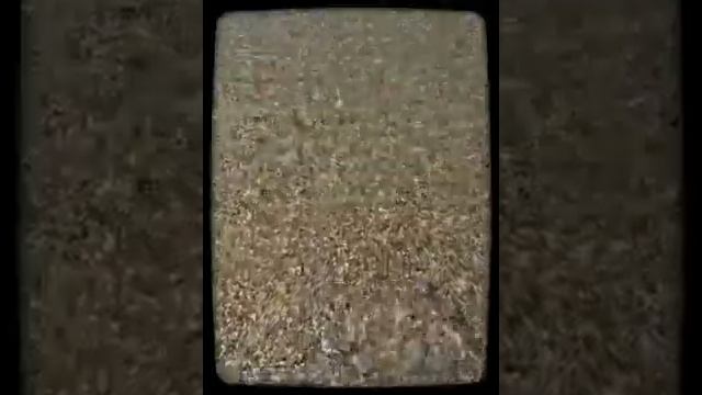 Вена, прогулка по Дунаю (июнь 2014) смотреть онлайн