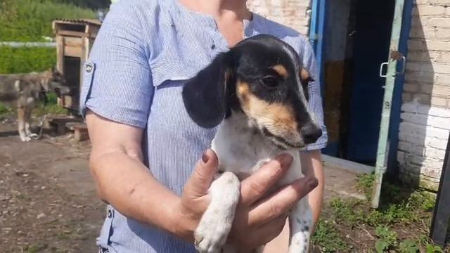 наша малышка выздоравливает🙂 смотреть онлайн