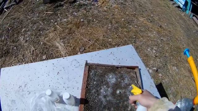 Как и чем очистить рамки от плесени смотреть онлайн