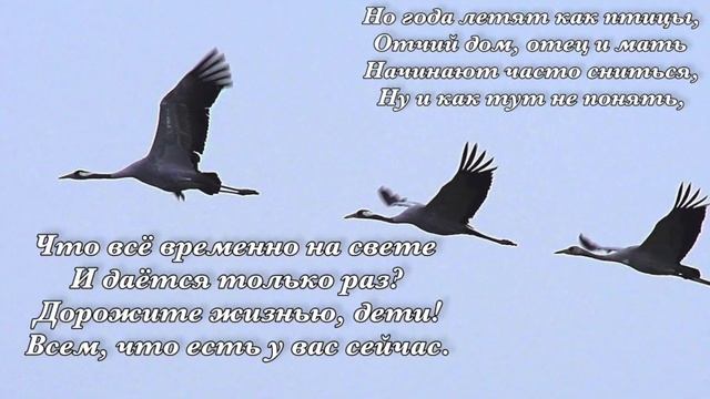 Дорожи отцом и мамой.Елена Ваймер смотреть онлайн