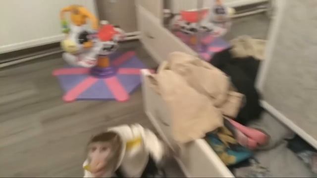 Обезьянки Федя и Ульяна и Другие Звери смотреть онлайн