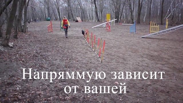 Разгон слалома. смотреть онлайн
