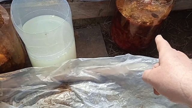 Ярославль Деревенская жизнь Работа в огороде Рассада Делаю лунки для огурцов. смотреть онлайн