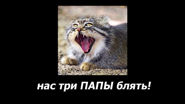 кто взял контракт на мясо? смотреть онлайн