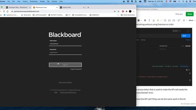 Learn Permissions to REST API Entitlements - No More Access Denied смотреть онлайн