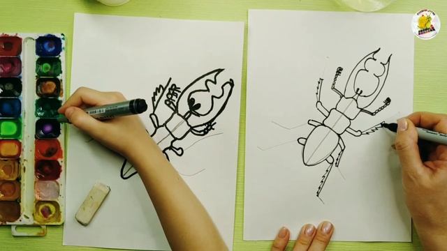 Как нарисовать жука-оленя. Для детей с 5-ти лет. смотреть онлайн