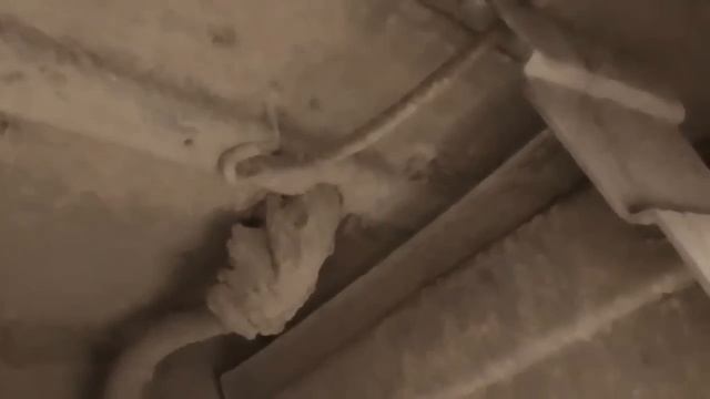 Автономка ПЛАНАР на Зубренке смотреть онлайн