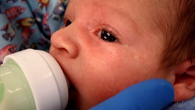HOW TO HOLD A BOTTLE (When Feeding a Newborn Baby) | Dr. Paul смотреть онлайн