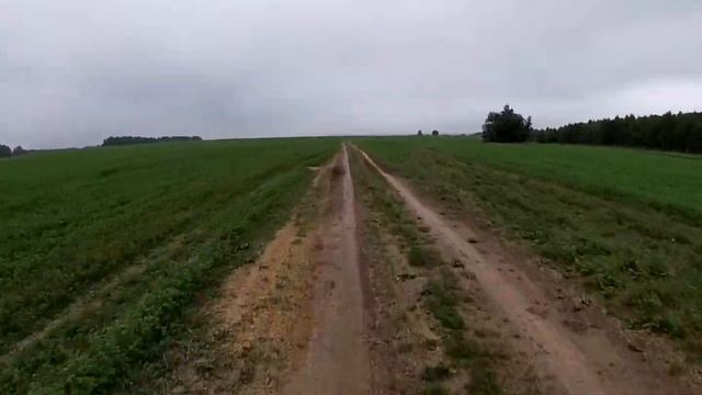 В поисках земляники (Октябрьский, Широково, Плюсково, Кутьково). смотреть онлайн