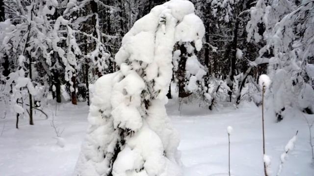 Стихи Афанасия Фета читает Юрий Потапенко смотреть онлайн