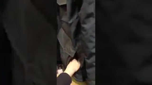 LERROS ТРЦ ЮГРАМОЛЛ 2этаж смотреть онлайн