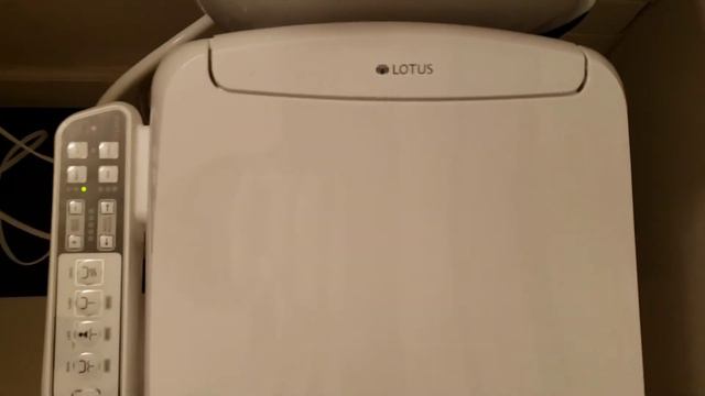 How to Clean a Bidet (Lotus ATS-500) | "Whatcha-Ma-Call-It & Thinga-Ma-Jig" S1, E4 смотреть онлайн