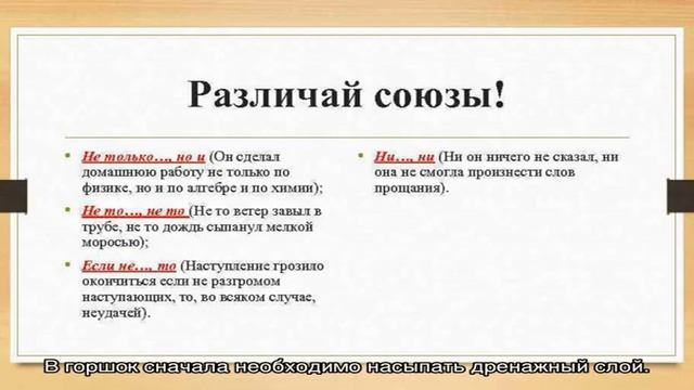 Домашняя хризантема: как легко приручить красавицу (21 фото) смотреть онлайн