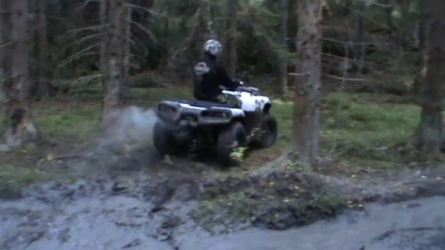 Cectek Gladiator & Kingcobra смотреть онлайн