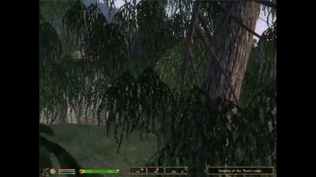 Let's play Oblivion 270: Thorns on or in my side? смотреть онлайн