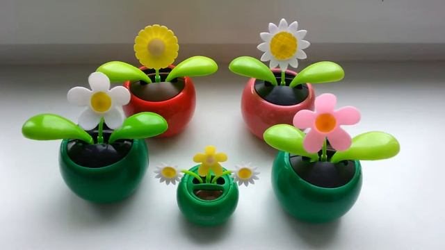 Солнечный танцующий цветок на окне смотреть онлайн