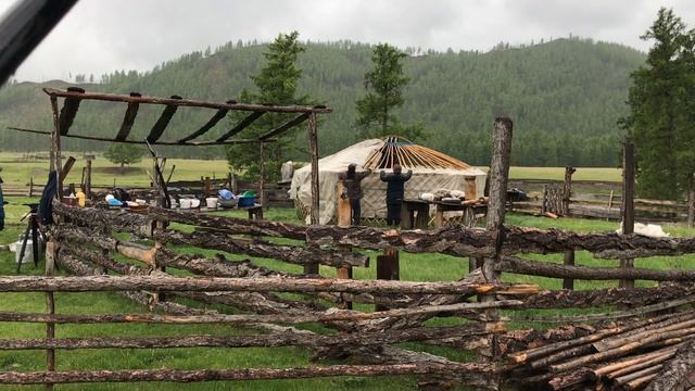 Как ставят юрту тувинцы? смотреть онлайн