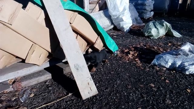VID_20151103_123737 смотреть онлайн