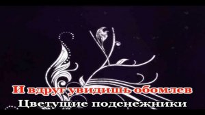 Подснежники Романо Караоке(Цыганское Караоке)