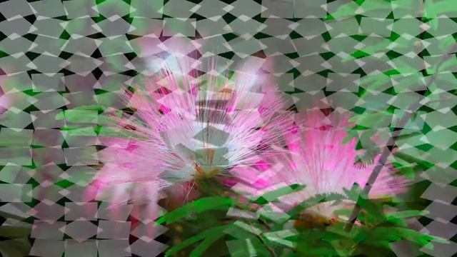 День рождение у доченьки моей смотреть онлайн