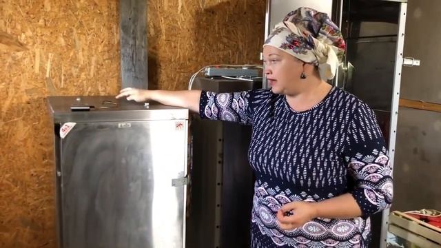 Коптит и показывает Диана Строгая Коптильня Москит 27 мая 2021 г. смотреть онлайн