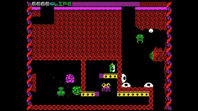THE HAIRY FLY (2023) (ZX Spectrum)