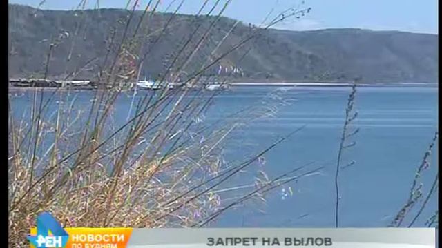 Запрет на промышленный вылов омуля введут в Иркутской области в ближайший месяц смотреть онлайн