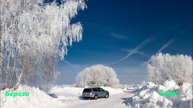 Берёза. САНС . Иркутск . 10.12.2015 - 03 55 смотреть онлайн