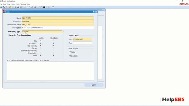 Criando uma profile no Oracle EBS смотреть онлайн