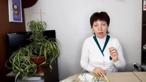 Лидаза. Рецепт компресса. Электрофорез с лидазой.