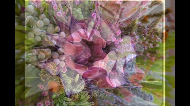 Экзотические цветы