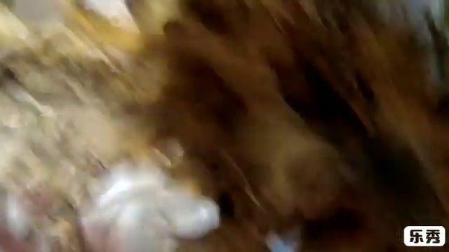 Цимбидиум. Посадка орхидеи цимбидиума без корней. Реанимация. Уход. Обработка. Полив. смотреть онлайн